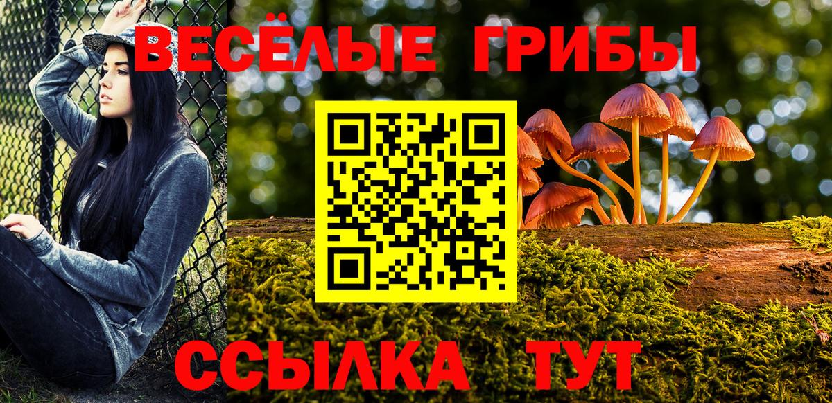 Псилоцибиновые грибы MAGIC MUSHROOMS Корсаков