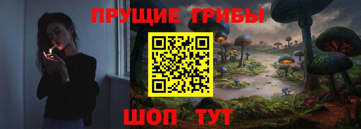 Корсаков  Псилоцибиновые грибы Cubensis  Галлюциногенные грибы мухоморы  Вход с VPN 